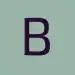logo Binary Lunar