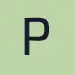 logo Perlyn's Journal