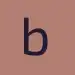 logo blenderian