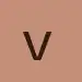 logo vlogize