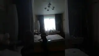 #юмор