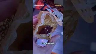 Dead cat gets new life ❤️