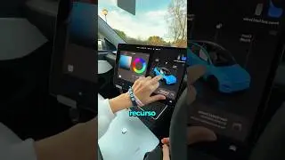 Ela tentou mudar a cor do seu Tesla...