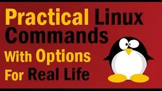 Practical Linux Commands For Real Life