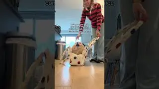 his emotional support bag #dog #pomeranian #funny #cutedog