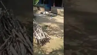 MAAFKAN SAYA DODO HAHA