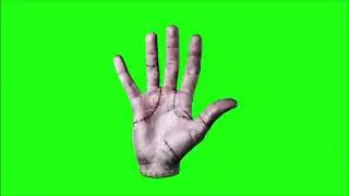 Green Screen Wednesday Thing Hand video effects