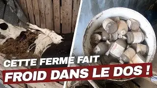Ce qu'ils ont trouvé dans cette ferme bretonne est terrifiant ! | Enquête Choc
