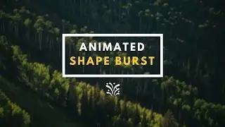 How to Animate a SHAPE BURST with Motion 5