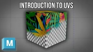 Basics of UV Mapping Introduction