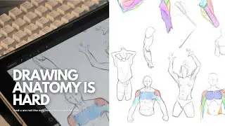 Drawing Anatomy is not that hard if you know what you're doing - Draw with me