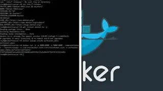 Instalação Traccar 4.10 + Docker + Portainer = Desempenho