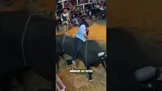Dieser Bullenritt endete völlig anders als erwartet 😳