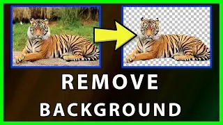 How to remove a background from an image without a software (2022)