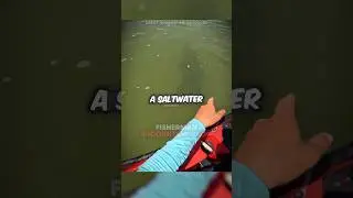 Fisherman Encounters A CROC 🫢