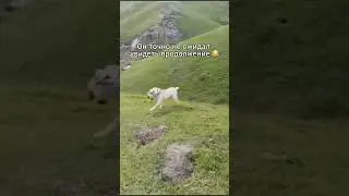 Но дальше оператор вообще потерял дар речи 💀