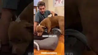 Hund beißt seinen Besitzer!🥹❤️#dog #wholesome