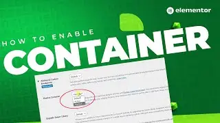 How to Enable Container Settings in Elementor Pro | Elementor 2024