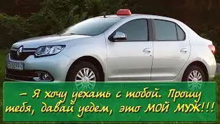 Интересные истории из работы в такси