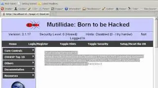Local File Include with Access log