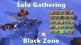 Solo Gathering Black Zone Vol.114 - Albion Online