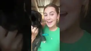 This girl wanted to adopt a shelter dog, but could only choose one of the two.