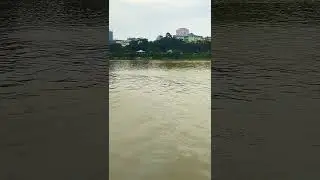 Cruise Ride near Howrah | Kolkata☺☺ #howrah #cruise #kolkata #ride #shorts