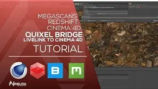 Quixel Bridge 2019 livelink to Cinema 4d and Redshift