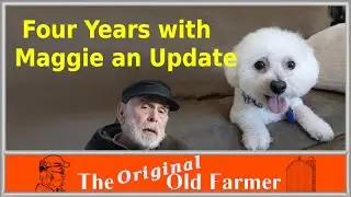 323 Learn How We Made Maggie a Great Dog