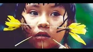 Tribes  jungle of Amazon - Tribes  Documentary Films HD