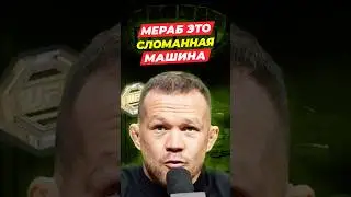 Мераб – это СЛОМАННАЯ Машина! Стрикленд Сумасшедший, Шон О'Мэлли Пудель | Петр Ян перед UFC 333