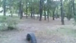 anch - front flip