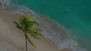 Hayat Test 2