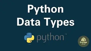 Understanding Python Data Types: A Complete Guide for Beginners