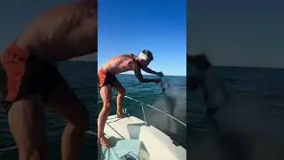 Ein letzter gemeinsamer Moment im Meer 💔
