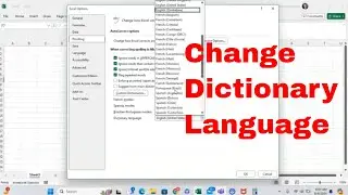 How to Change the Dictionary Language Used in Microsoft Excel! Proof Excel More Accurately 