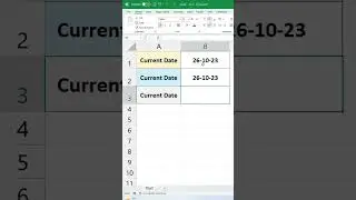 Current Date Insert Multiple Trick in Excel