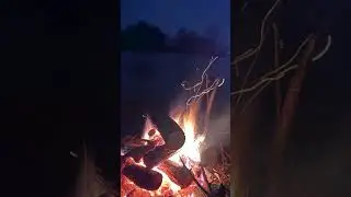 Магия Ночи #shorts