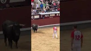 A UN METRO DEL TORO! QUE LOCURA DE RECORTE