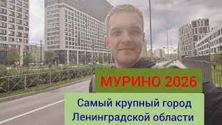 MURINO 2026. A review of the largest city in the Leningrad Region.