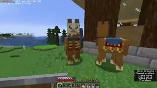 Minecraft Java 1.19 Vanilla Survival Let's Play Ep. 0172