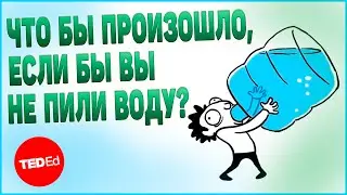 Что бы произошло, если бы вы не пили воду? | TED-Ed