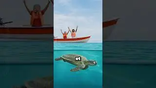 2 animaux qui ont risqué leur vie pour sauver des inconnus !