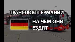 Водитель автобуса в Германии. На чем они ездят? Транспорт мира. Автобус Mercedes Citaro.