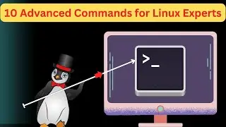 10 Most Advanced Commands for Linux in Ubuntu & Kali Linux with Examples || #kalilinux  #linux #ceh