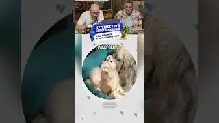 Ассорти😹