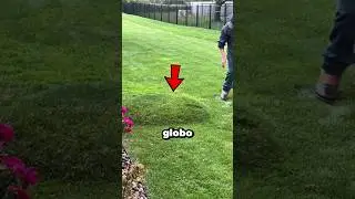 ¡NUNCA PISES UN CAMPO DE GOLF ASÍ! 😱
