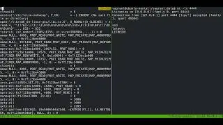 Reverse TCP shell authentication with strace