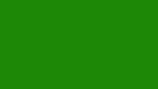 Gunbeam (Green Screen with Sound)