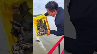 Este chico compró un montón de tortugas en el mercado y las dejó en el río 👏